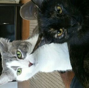 Meet your Posher, Marlene