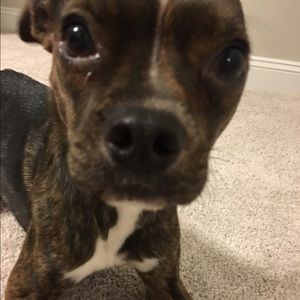 Meet your Posher, Joanna