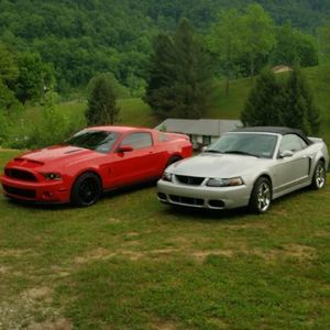 Meet your Posher, Kelly n