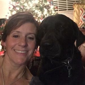 Meet your Posher, Shelley