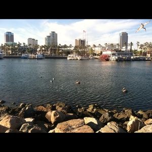 Meet your Posher, Reyna