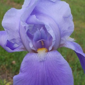 Meet your Posher, Martha