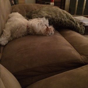 Meet your Posher, Dana