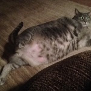 Meet your Posher, Brenna