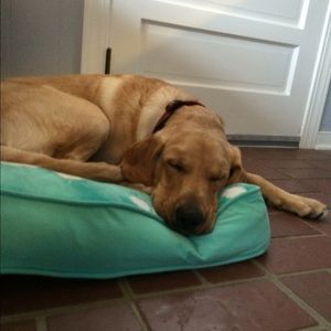 Meet your Posher, Jill