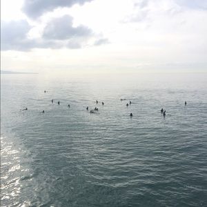 Meet your Posher, Elena