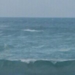 Meet your Posher, Josephine