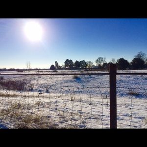 Meet your Posher, Bentli