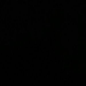 Meet your Posher, Timmy