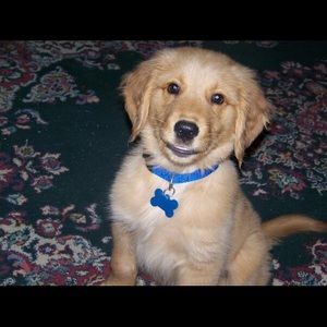 Meet your Posher, Michaela