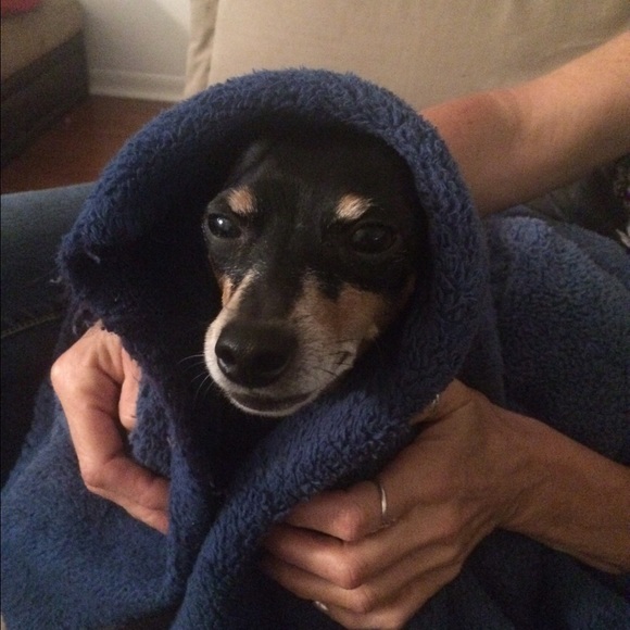 Meet your Posher, Elisha