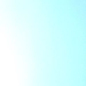 Meet your Posher, Britt