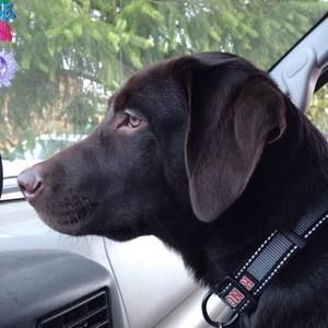 Meet your Posher, Cindy