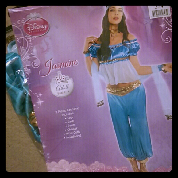 Jasmine costume and wig