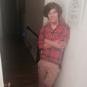 Harry Styles cardboard cutout
