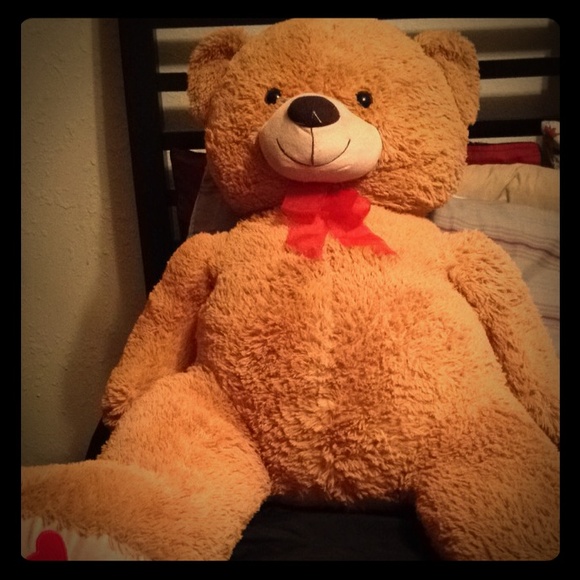 Teddy bear