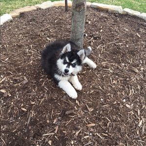 Meet your Posher, Kelly