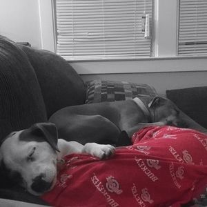 Meet your Posher, Alexis