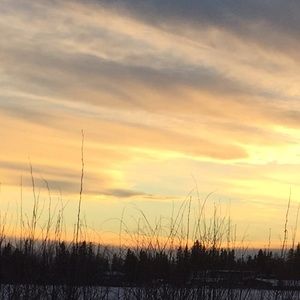 Meet your Posher, Kylie