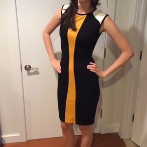 Cache Black and Gold Dress