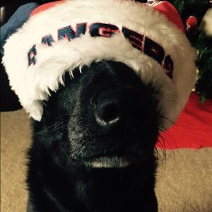 Meet your Posher, Janelle