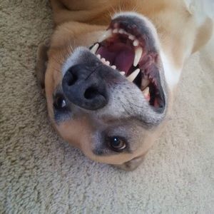 Meet your Posher, Janelle