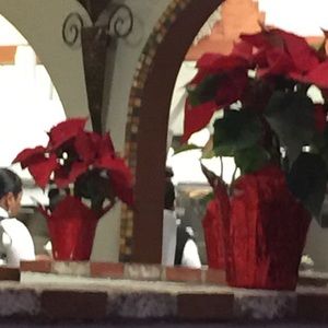 Meet your Posher, Jay