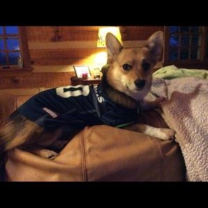 Meet your Posher, Fritzi