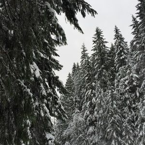 Meet your Posher, Kaylee