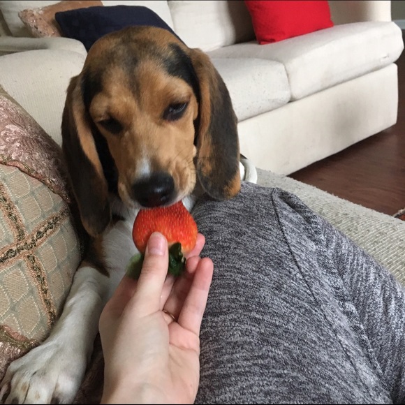 🌻Welcome🌻 - Picture 3 of 4