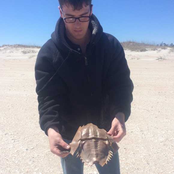 🌻Welcome🌻 - Picture 2 of 4