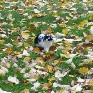 Meet your Posher, Chelsey