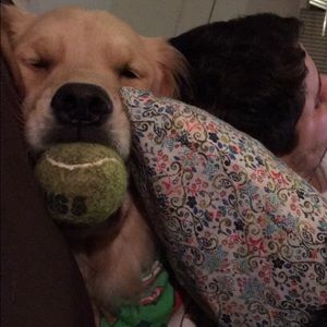 Meet your Posher, Steven