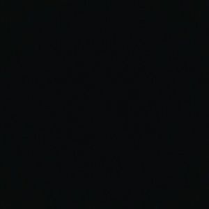 Meet your Posher, Celia