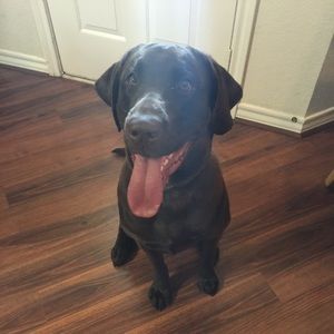 Meet your Posher, Candis