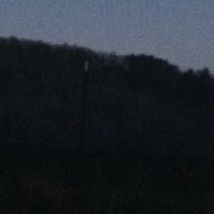 Meet your Posher, Mochi