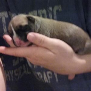 Meet your Posher, Melissa