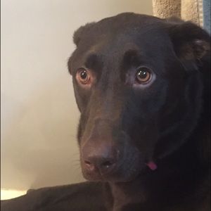 Meet your Posher, Ethan