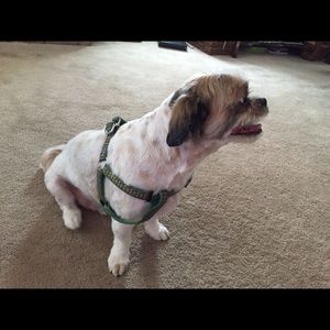 Meet your Posher, Chris