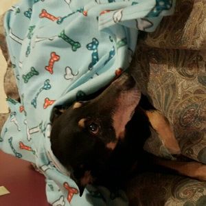 Meet your Posher, Ina