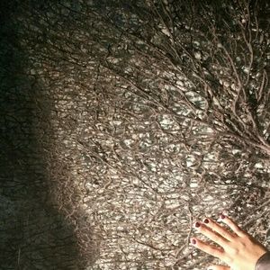 Meet your Posher, Dina