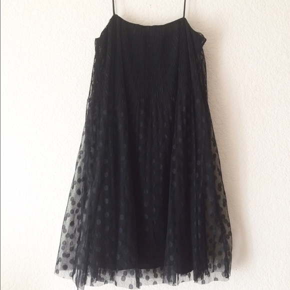Zara Polkadot Mesh Trapeze Dress