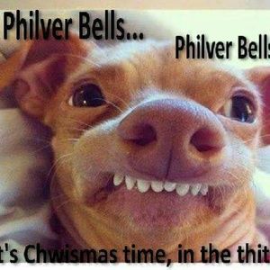 Meet your Posher, Sheara