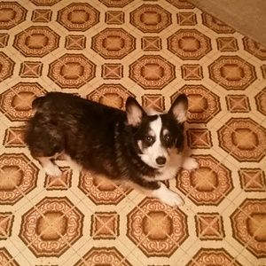 Meet your Posher, Tammy