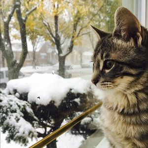 Meet your Posher, Afnan