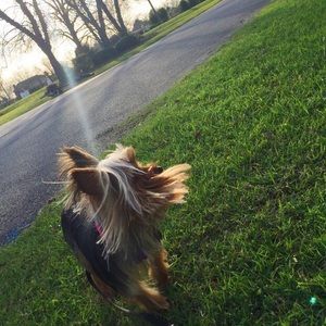 Meet your Posher, Cali