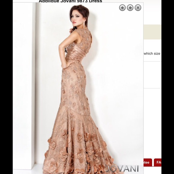 Dress worn one time