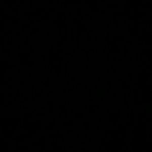 Meet your Posher, Anni