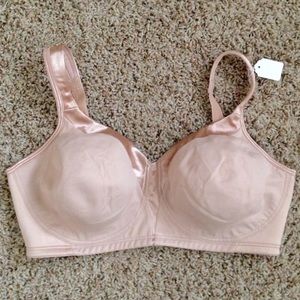 38D bra