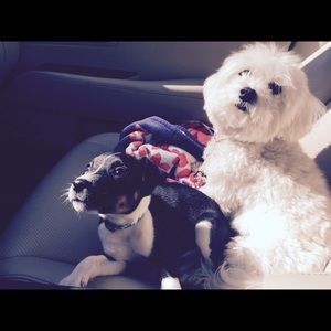 Meet your Posher, Melanie